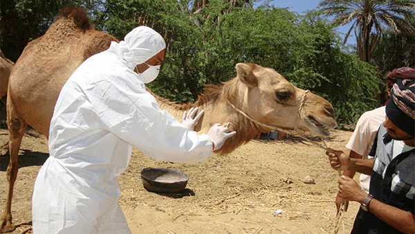 Middle East Respiratory Syndrome A Comprehensive Overview The Role of Hospital Queue Management Systems positive-living-now.com